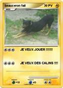 beauceron fail
