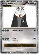 harry echo