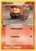 justin beaver