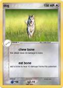 dog