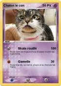 Chaton le con