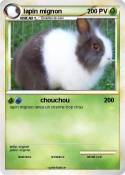lapin mignon