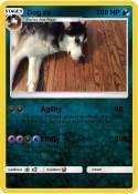 Dog ex