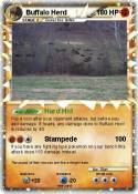 Buffalo Herd