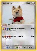 Cairnterrier