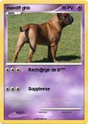 mastiff ghb