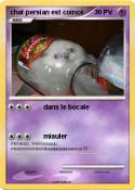 chat persian