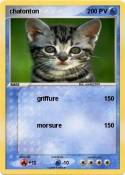 chatonton
