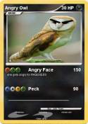 Angry Owl