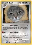 Bread Cat