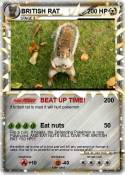 BRITISH RAT