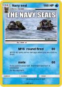 Navy seal