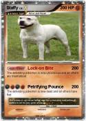 Staffy