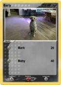 Barly