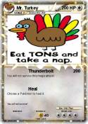 Mr. Turkey