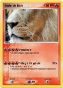 trufe de lion