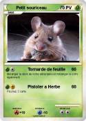 Petit souriceau