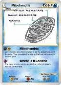Mitochondria