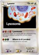 Lysome