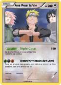 Ami Pour la Vie