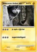 beauceron timbe