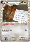 cat
