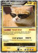 easy cat