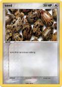seed