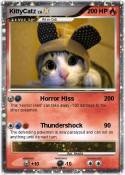 KittyCatz