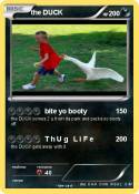 the DUCK