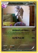 FLYING KITTEN