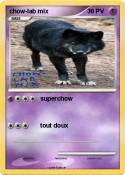 chow-lab mix
