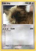 Cute dog