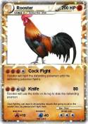 Rooster