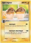lapin mignon