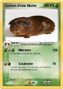 Cochon d'Inde
