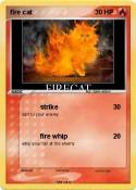 fire cat