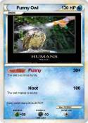 Funny Owl