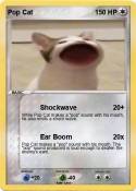 Pop Cat