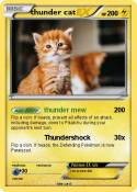 thunder cat