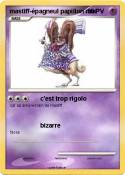mastiff-épagneul