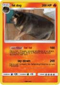 fat dog