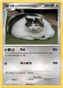 Op cat