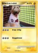 briard en