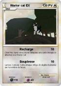 Warior cat EX