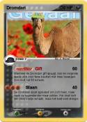Dromdari