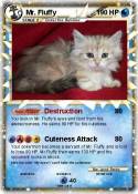 Mr. Fluffy