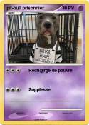 pit-bull prison