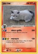 pas chat