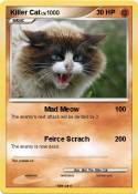 Killer Cat